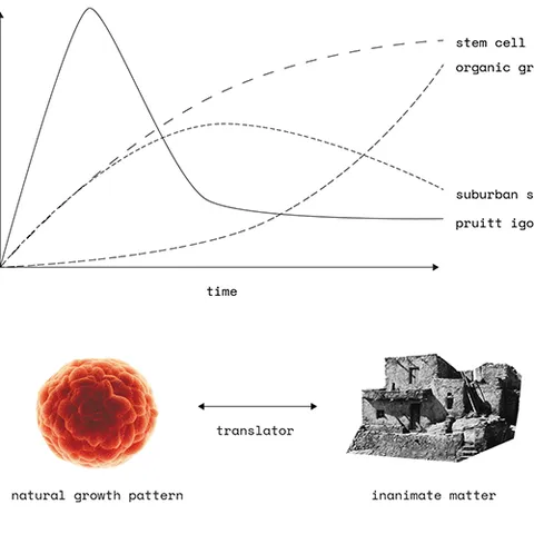 Natural Growth Patterns